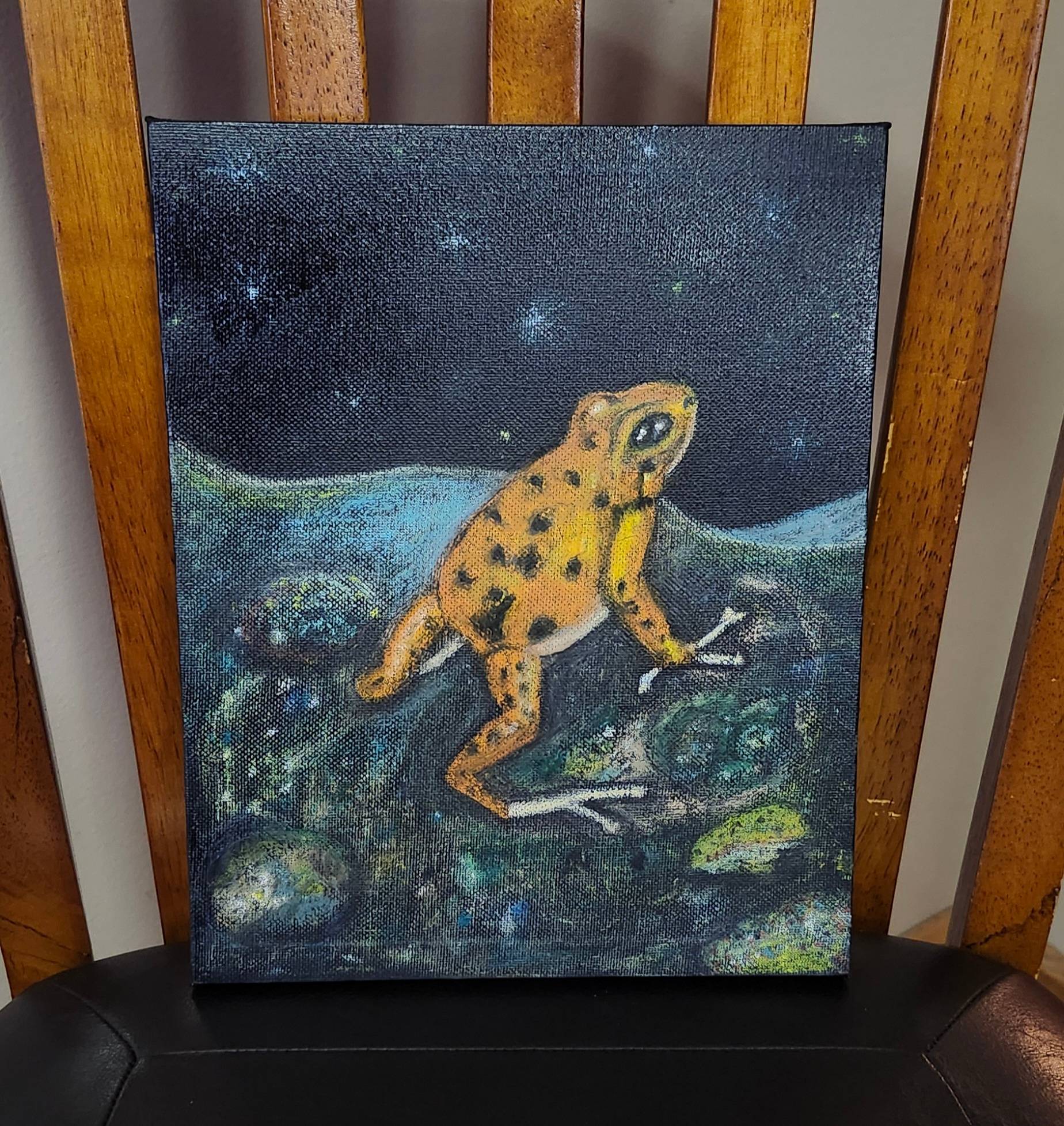 "Starry-Eyed Frog" Original Oil Pastel Work on Black Canvas